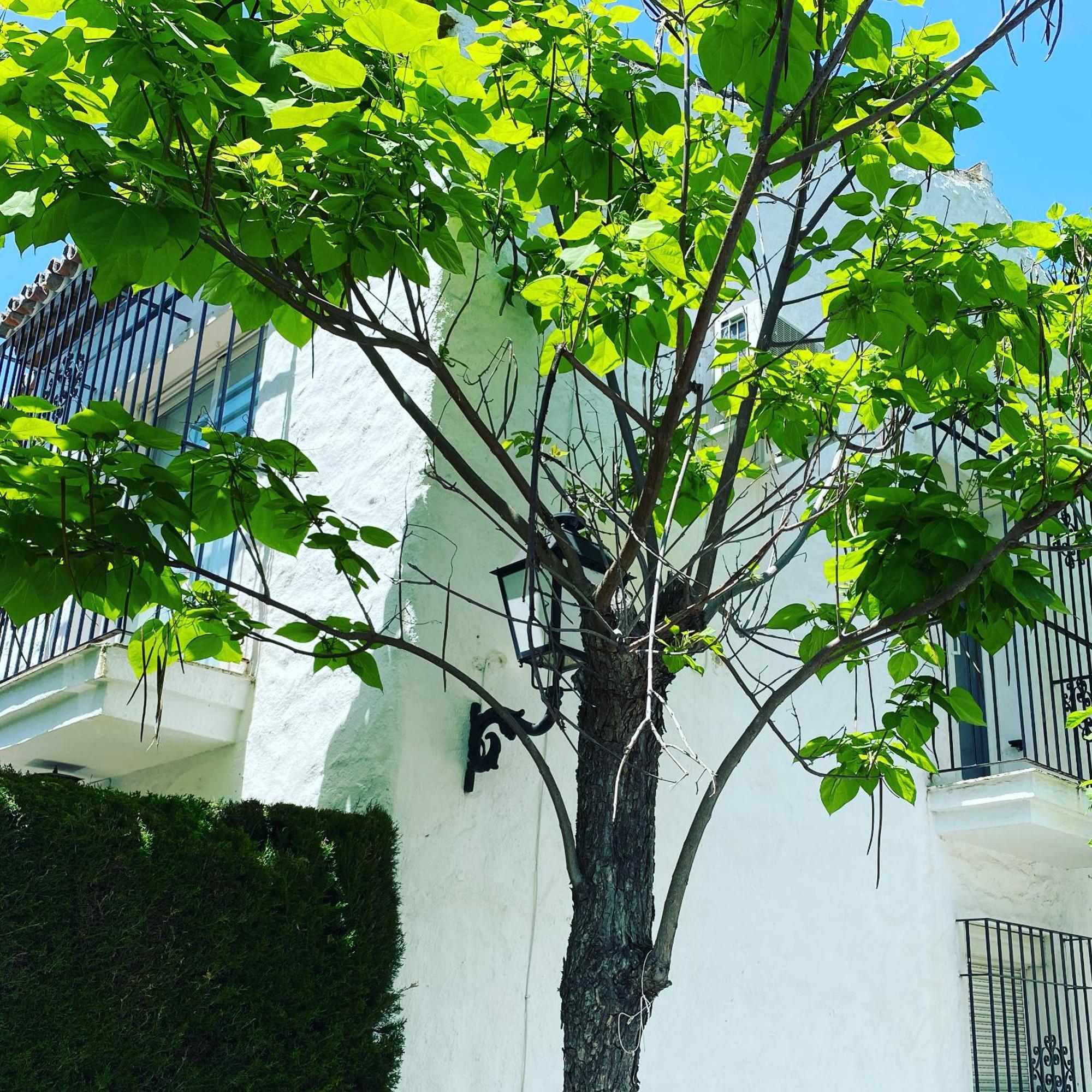 Tarifa Especial, Sin Aglomeraciones En Piscina Y Playa, Cerca De Puerto Banus Estepona Exterior foto